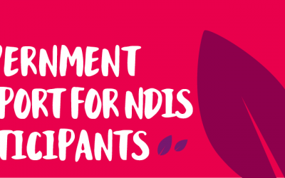 Government Support for NDIS Participants